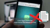 Cara Atasi WhatsApp Gagal Kirim dan Download Foto