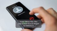 solusi nomor HP jadi kontak darurat Pinjol