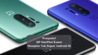 OnePlus