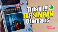 Cara Mencegah Foto WhatsApp Tersimpan Otomatis di Galeri Android